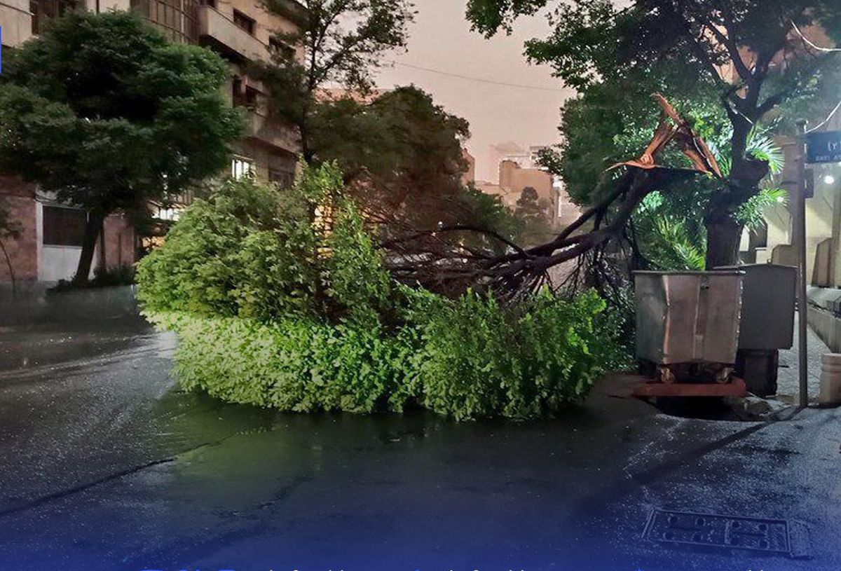 نجفی، عضو شورای شهر: ۲ شهروند در طوفان دو روز گذشته آسیب دیدند؛ بخشی از وظایف رفع خطر بر عهده شهرداری است، اما اقدامات کافی نبوده و به شهروندان خسارت زده شده