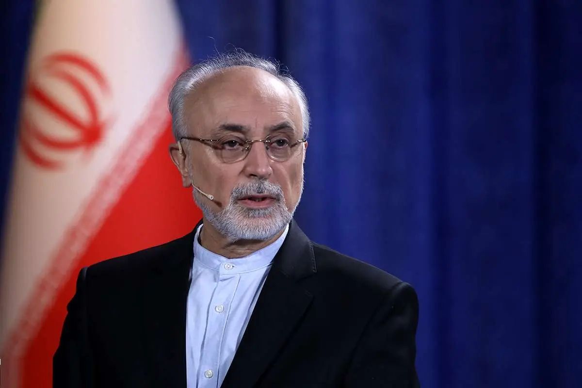 پاسخ علی‌اکبر صالحی به ادعای ترامپ: نام خلیج‌فارس با «اجازه» کسی بر آن نهاده نشده و با «توهم» کسی هم برداشته نخواهد شد/ خلیج فارس بوده، هست و خواهد بود