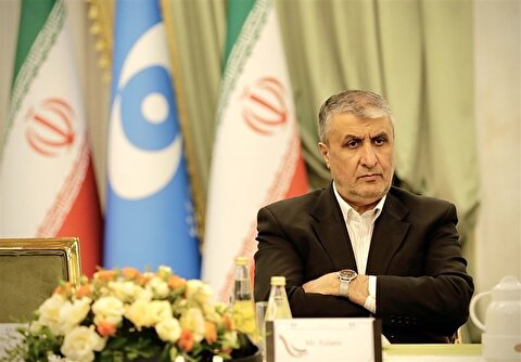 رئیس سازمان انرژی اتمی: آژانس در سال ۲۰۲۴ بیش از ۴۵۰ بازرسی انجام داد / ۲۵ درصد بازرسی‌ها از تأسیسات ایران بود / ظرفیت نصب‌شده ما در مقایسه با جهان ۳ درصد است